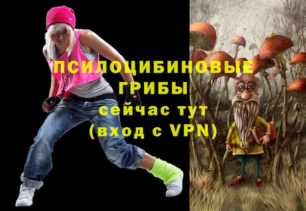 СК Абинск