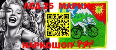гашик Новодвинск