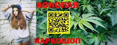 бошки Новокубанск