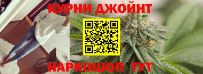 гашик Новодвинск