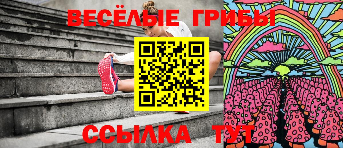 Галлюциногенные грибы Psilocybe Россошь