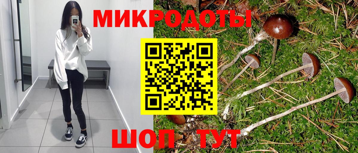 Россошь  Галлюциногенные грибы Cubensis  Вход с VPN 